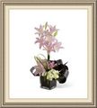 Flowers by Trents, 409 Nile Kinnick Dr S, Adel, IA 50003, (515)_993-4541